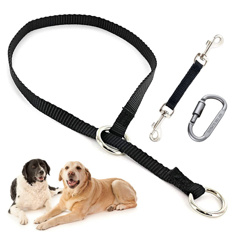Mayerzon Backup Collar, Double Ended Clip and Carabiner for Prong Collar, Pinch Collar and Dog Harness, Safety Use for Walking and Training (M, Black) Medium,19.7in,Neck 14-18in