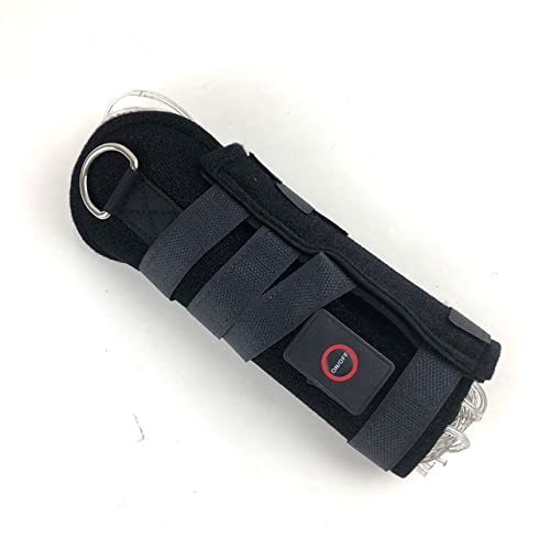CZP New 100CM Horse Tail USB Lights Chargeable LED Crupper Horse Harness Equestrian Outdoor Sport Horse Riding Tail Lights Equipment 100cm RED - PawsPlanet Australia