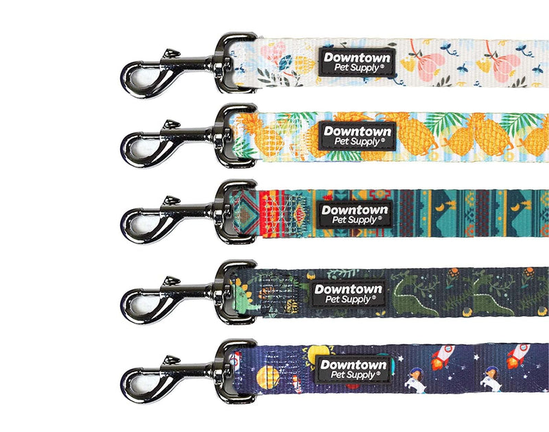 Downtown Pet Supply 5ft Heavy-Duty Dog Leash - Padded Comfort Handle & Stainless Steel Fastener - Durable Dog Training Leash - Floral - 1in Wide 5 ft x 1 in - PawsPlanet Australia