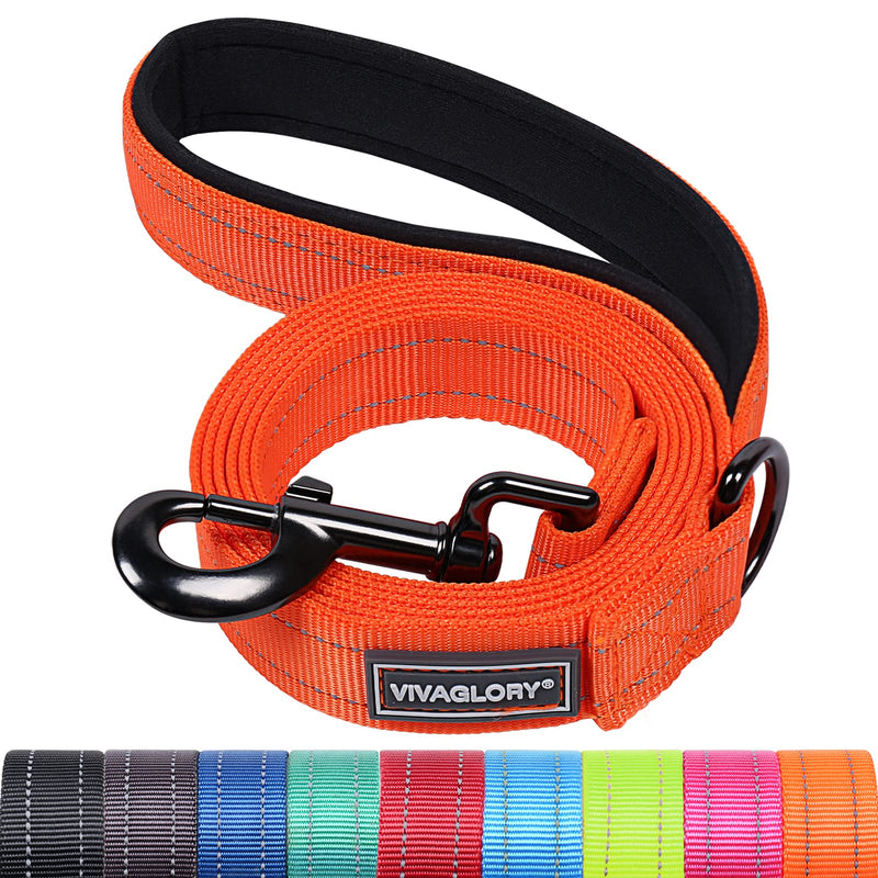VIVAGLORY Dog Leash Dailyx Pet Leash with Soft Padded Handle for Training & Walking, Heavy Duty & Double Layer Nylon for Pet Puppy, 6ft x 1in, Orange Leash (6 ft. x 1 in.) - PawsPlanet Australia