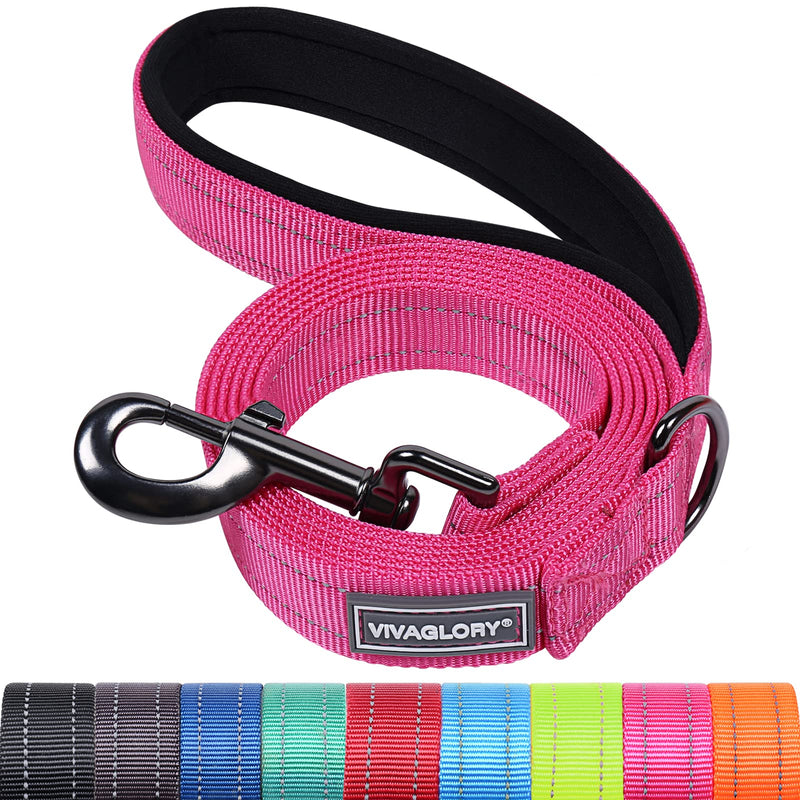 VIVAGLORY Dog Leash Dailyx Pet Leash with Soft Padded Handle for Training & Walking, Heavy Duty & Double Layer Nylon for Pet Puppy, 4ft x 1in, Pink Leash (4 ft. x 1 in.)