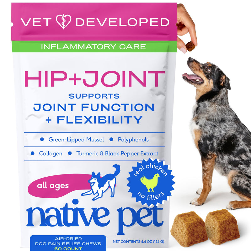 Native Pet Inflammatory Care - Pain Relief for Dogs - Green-Lipped Mussel, Turmeric & Collagen for Dogs - Hip and Joint Supplement Supports Healthy Inflammatory Response & Joint Comfort - 60 Chews 60 Count - PawsPlanet Australia