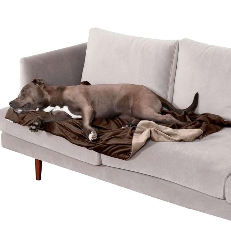 Furhaven Waterproof Throw Blanket for Dogs & Indoor Cats, Washable - Two-Tone Luxe Velvet Dog Blanket - Brownstone, Large 50.0"L x 35.0"W - PawsPlanet Australia