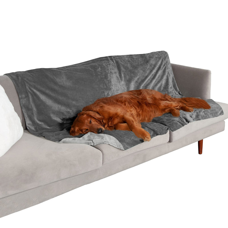 Furhaven Waterproof Throw Blanket for Dogs & Indoor Cats, Washable - Two-Tone Luxe Velvet Dog Blanket - Granite Gray, Extra Large/XL X-Large - PawsPlanet Australia