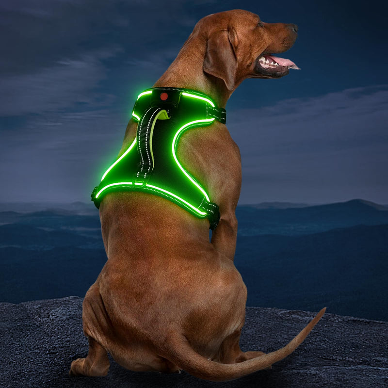 Light Up Dog Harness, No Pull LED Dog Harness with Handle, Rechargeable Lighted Safety Vest for Small Medium Large Dogs, Adjustable Soft Dog Lights for Night Walking Black-Green L - PawsPlanet Australia