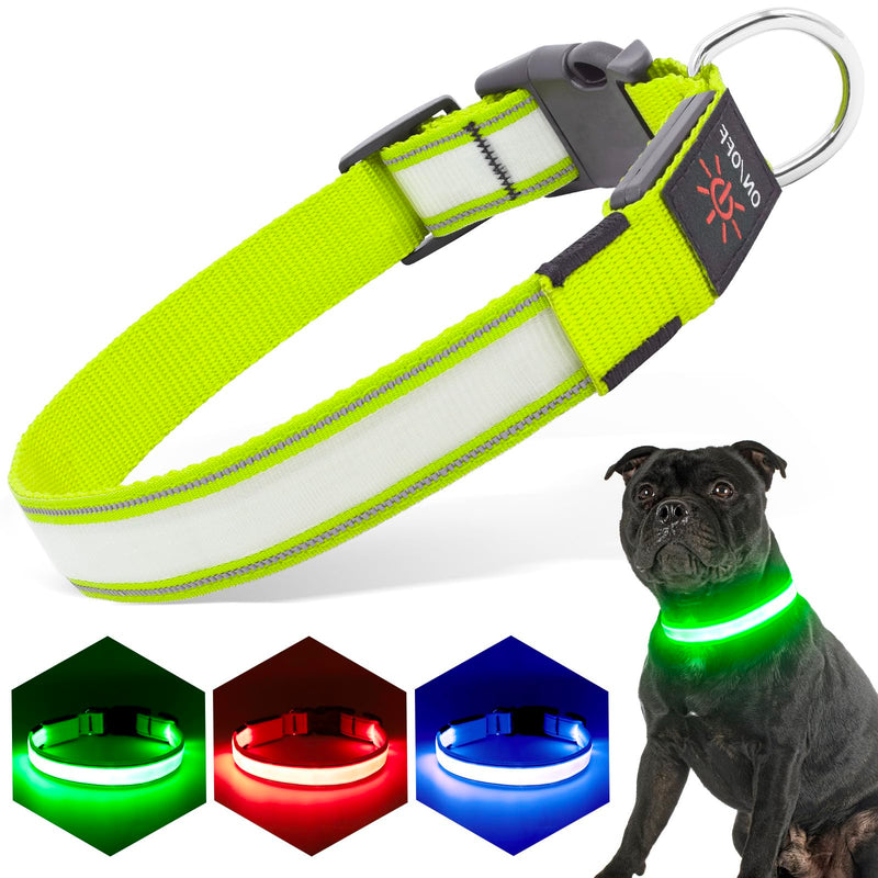 Light Up Dog Collars, LED Dog Collar Rechargeable Waterproof, Full Adjustable Lighted Collar, Glow Dark Dog Collar Light for Night Walking for Small Medium Dogs (Green) Green - PawsPlanet Australia
