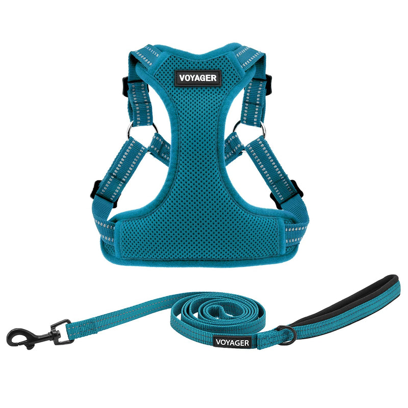 Best Pet Supplies Voyager Adjustable Step-in Flex Breathable Mesh Dog Harness for Small Medium Large Dogs Leash Set (Turquoise), M Harness Leash Set (Turquoise)