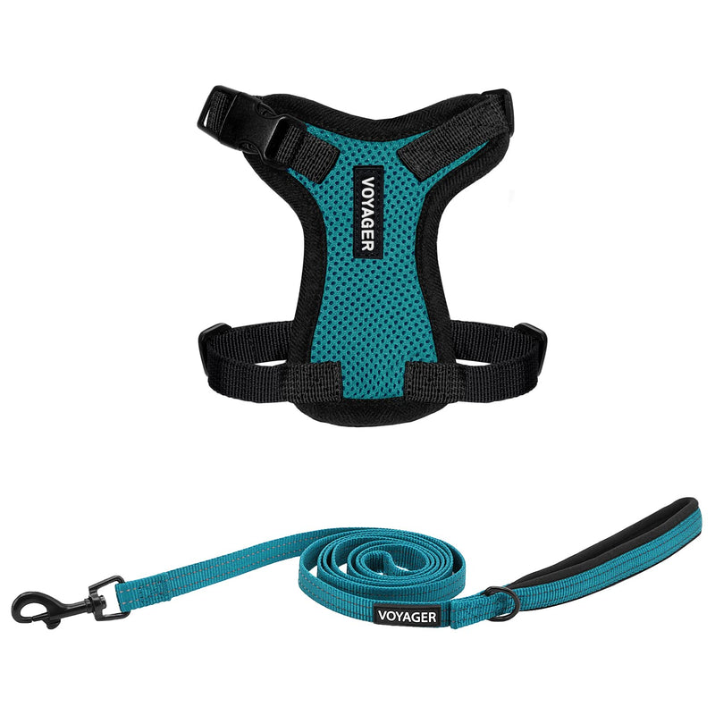 Voyager Step-in Lock Adjustable Cat Harness w. Cat Leash Combo Set with Neoprene Handle 5ft - Supports Small, Medium and Large Breed Cats by Best Pet Supplies - Turquoise/Black Trim, XXS - PawsPlanet Australia