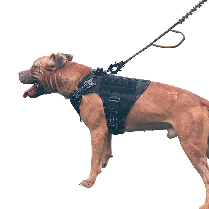 ICEFANG GN1 Reflective Tactical Dog Harness Medium Sized, MOLLE K9 Dog Vest with 2X Metal Buckles,Adjustable Pet Harness, No Pulling Front Leash Clip (Medium (Pack of 1), Black) Medium (Pack of 1) - PawsPlanet Australia