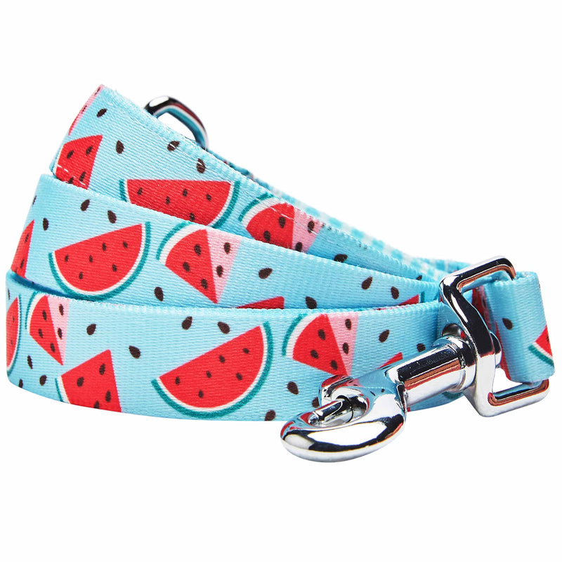 Blueberry Pet Summer Sparkle Dog Leash, Medium Size, 5 ft x 3/4", Blue, Zesty Fruit Watermelon Print Pet Leash 5' * 3/4" (Pack of 1) Slices of Watermelon - PawsPlanet Australia