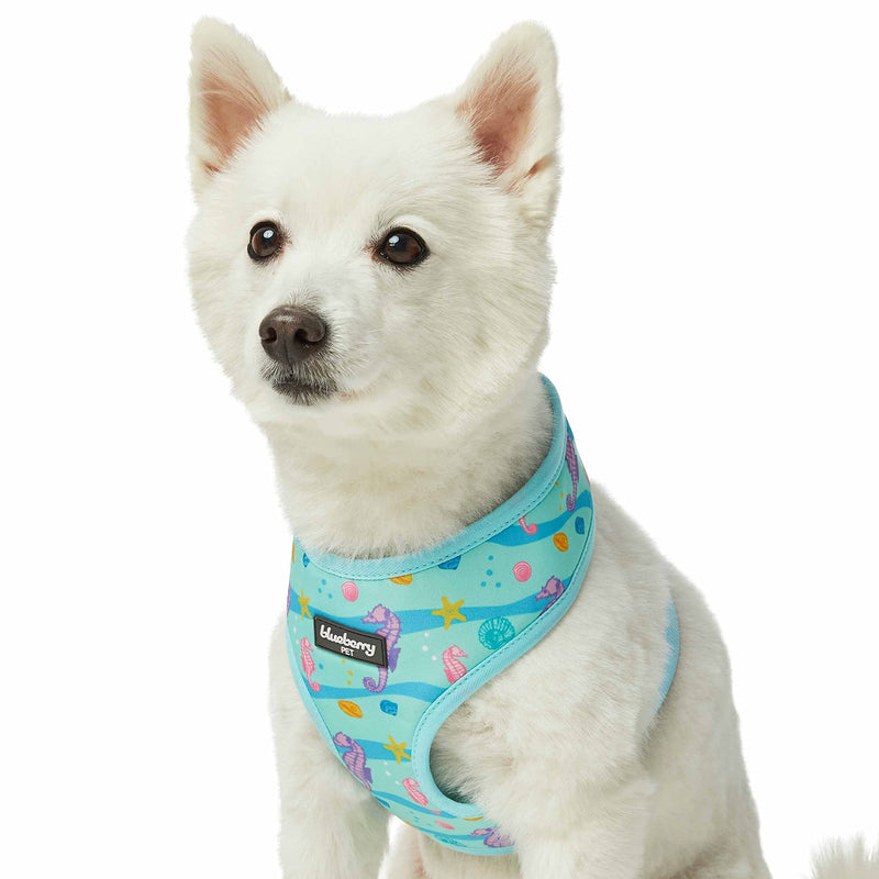 Blueberry Pet Summer Sparkle Dog Harness Vest, Adjustable Medium Size, Chest Girth 19.5" - 26", Turquoise, Ocean Fish and Seahorse Print Nautical Pet Harness (19.5" - 26") Chest Girth (Pack of 1) Seahorse and Friends - PawsPlanet Australia