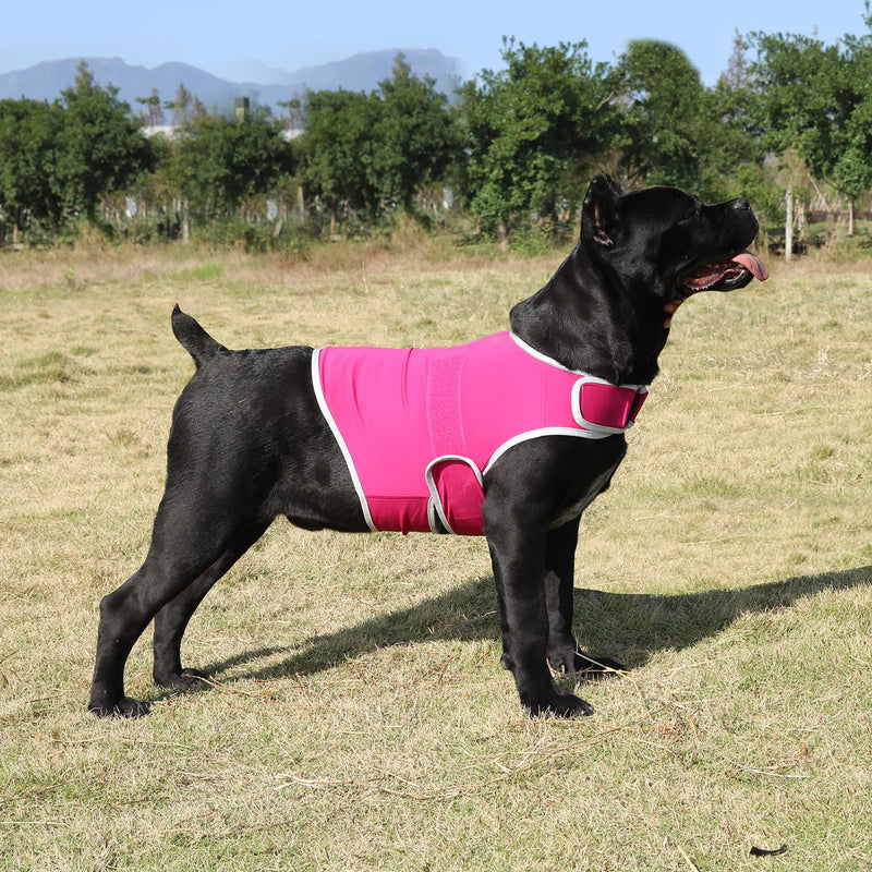 Dog Anxiety Relief Coat, Dog Anxiety Calming Vest Jacket for Thunderstorm,Travel, Fireworks,Vet Visits (Large, Rose) Large - PawsPlanet Australia