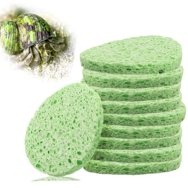kcrygogo Hermit Crab Green Sponge Hermit Crab Accessories for Maintaining Hermit Crab Tank Humidity Supplies(10pcs) - PawsPlanet Australia