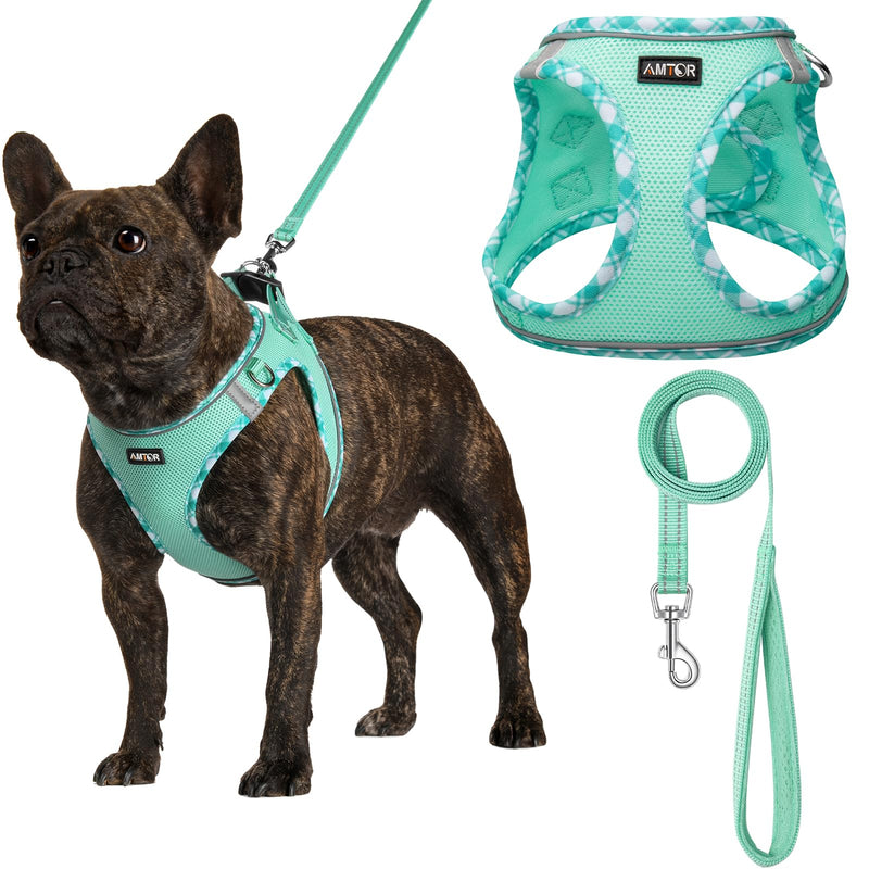 AMTOR Small Dog Harness with Leash Set, No Escape Easy Walk Puppy Harnesses for Training Walking, Step-in Reflective Soft Dogs Vest for XS S Medium Extra-Small Large Sized Dog(Green,S) Small(Chest:13"-15") Green - PawsPlanet Australia