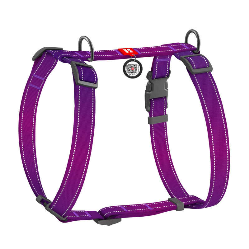 WAUDOG Nylon Safe Dog Harness with QR Passport, Metal fastex, L, W 25 mm, A 55-85 cm, B 65-85 cm Purple L, (W 25 mm, A 55-85, B 65-85) - PawsPlanet Australia