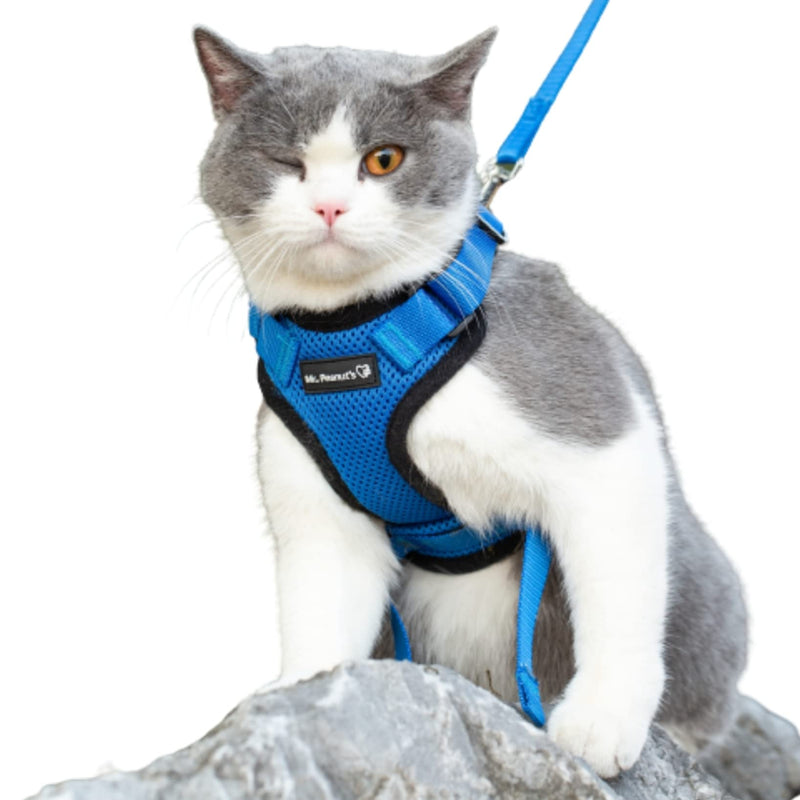 Mr. Peanut's PurrTrek Reflective Cat Harness with Matching Leash (Extra Small, Blue) Extra Small - PawsPlanet Australia