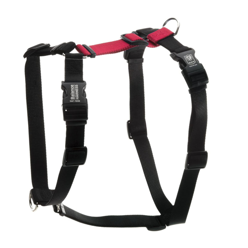 Blue-9 Buckle-Neck Balance Harness, Fully Customizable Fit No-Pull Harness, Ideal for Dog Training and Obedience, Made in The USA, Red, Medium M (Ribcage: 21"-32") - PawsPlanet Australia