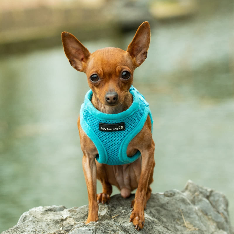 Mr. Peanut's PupTrek Small Dog/Cat Soft Mesh Step in Harness Vest (Small, Blue) - PawsPlanet Australia