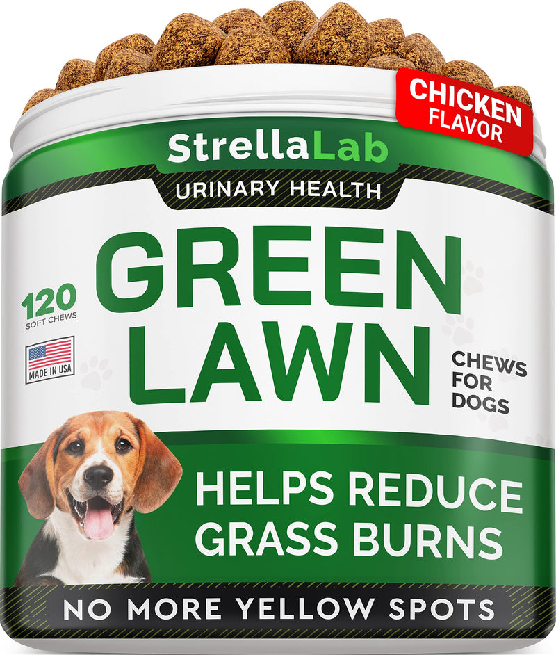 STRELLALAB Grass Burn Spot Chews for Dogs - Dog Urine Neutralizer for Lawn - Dog Pee Lawn Spot Saver - Natural Treatment Caused by Dog Urine - Grass Treatment Rocks -DL-Methionine+Enzymes - 120 Chew - PawsPlanet Australia