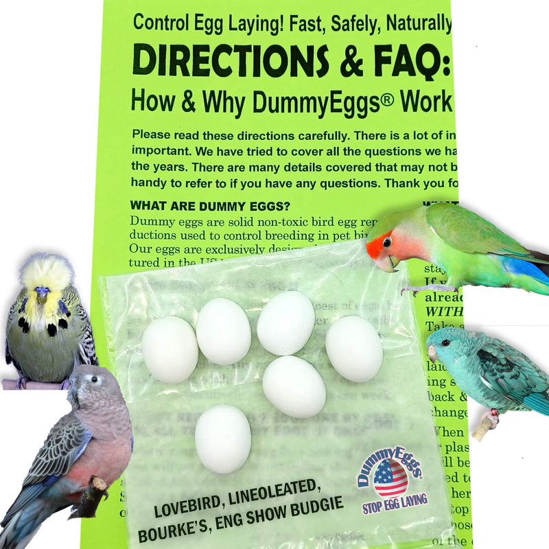 DummyEggsⓇ USA. 6 Lovebird Dummy Eggs. Stop Laying! Realistic Plastic Fake Bird Eggs. Perfect for Lovebird, Lineoleated, Eng Budgie. Non-Toxic Solid Premium White Plastic 7/8" x 3/4" Laid in USA! - PawsPlanet Australia