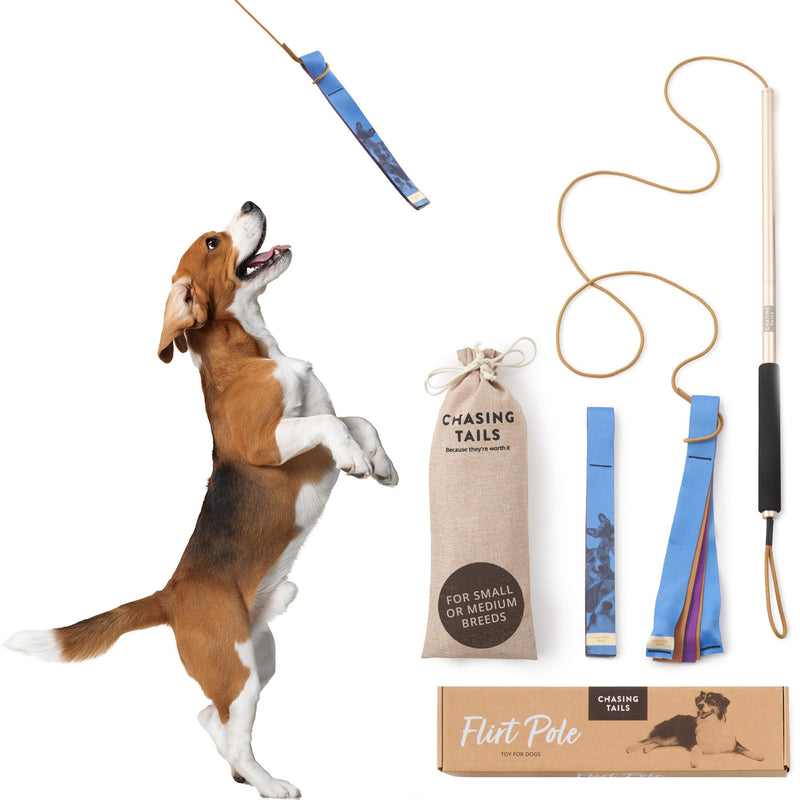 Flirt Pole for Small or Medium Dogs - 26 Inch with 70 Inch Rope and Two Toys for All Breeds - Spring Pole for Dogs, Dog Flirt Pole for Large Dogs, Dog Catcher Pole Pole - 26 Inch - PawsPlanet Australia