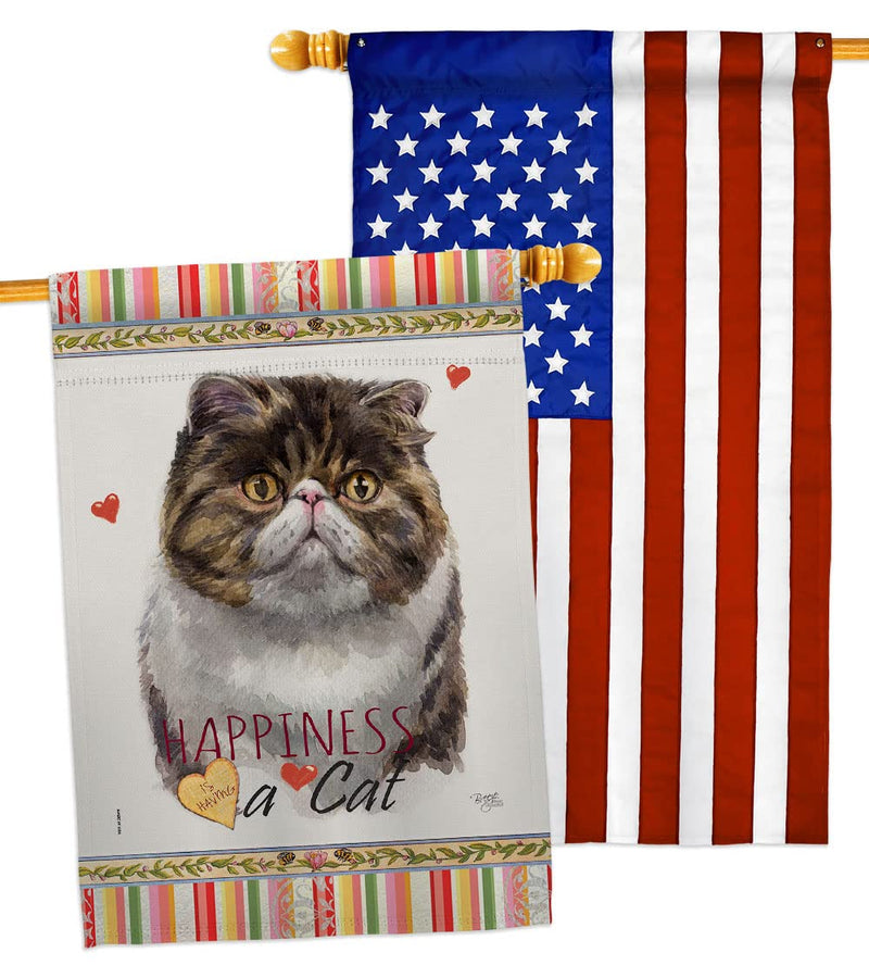 Breeze Decor Exotic Short Hair Happiness House Flag Pack Cat Kitten Meow Spoiled Paw Fur Pet Nature Farm Animal Creature Applique Banner Small Garden Yard Gift Double-Sided, Made in USA - PawsPlanet Australia