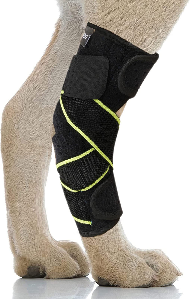 Dog Canine Rear Leg Hock Joint Brace for Medium and Large Dog, Compression Wrap with Straps & Metal Spring Strips Protects Wounds, Heals, Prevents Injuries and Sprains from Arthritis-L Green - PawsPlanet Australia