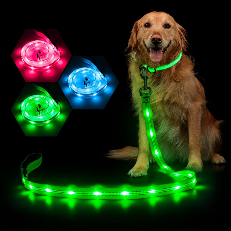 Weesiber Glowing Light Up LED Dog Leash - 4ft USB Rechargeable Flashing Nylon Leash for Small Medium Large Dogs, 3 Flash Modes (Green) Green