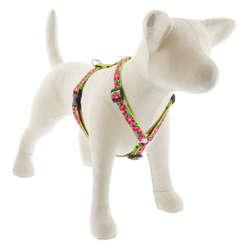Lupine Adjustable Dog Harness with in 3/4" Wide Petunias 14-24" Girth 3/4" wide; girth adjusts 14-24" - PawsPlanet Australia