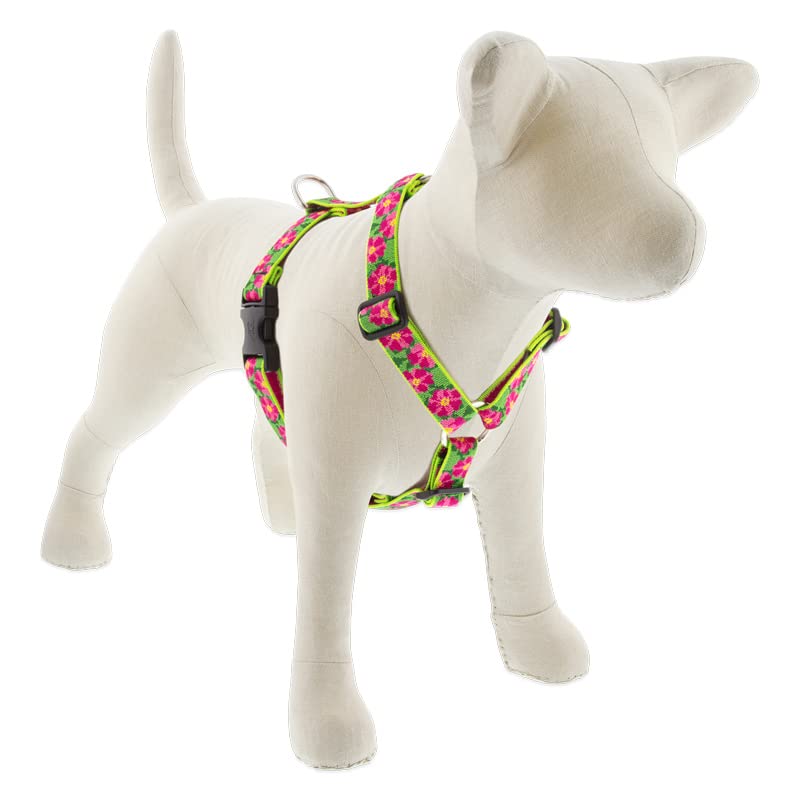 Lupine Adjustable Dog Harness with in 1" Wide Petunias 20-32" Girth 1" wide; girth adjusts 20-32" - PawsPlanet Australia