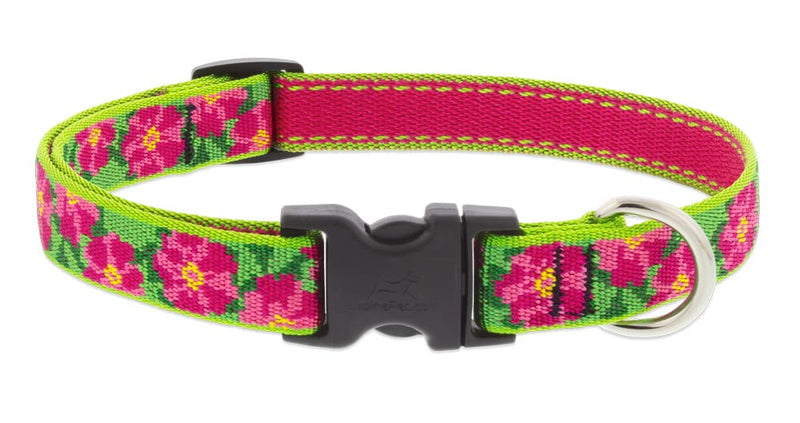 Lupine Dog Collar 3/4" Wide Petunias Design Adjusts from 13" to 22" 3/4"wide, adjusts 13-22-inches - PawsPlanet Australia
