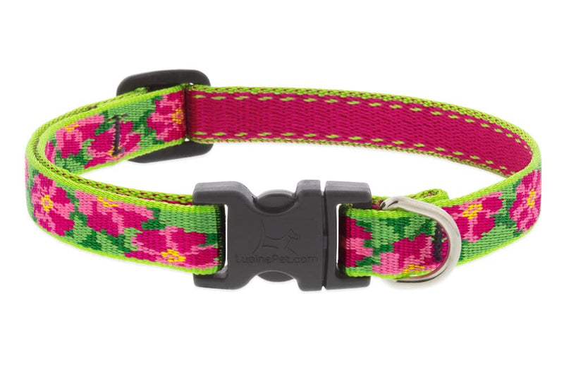 Lupine Small Dog Collar 1/2" Wide Petunias Adjusts from 10" to 16" 1/2"wide, adjusts 10-16-inches