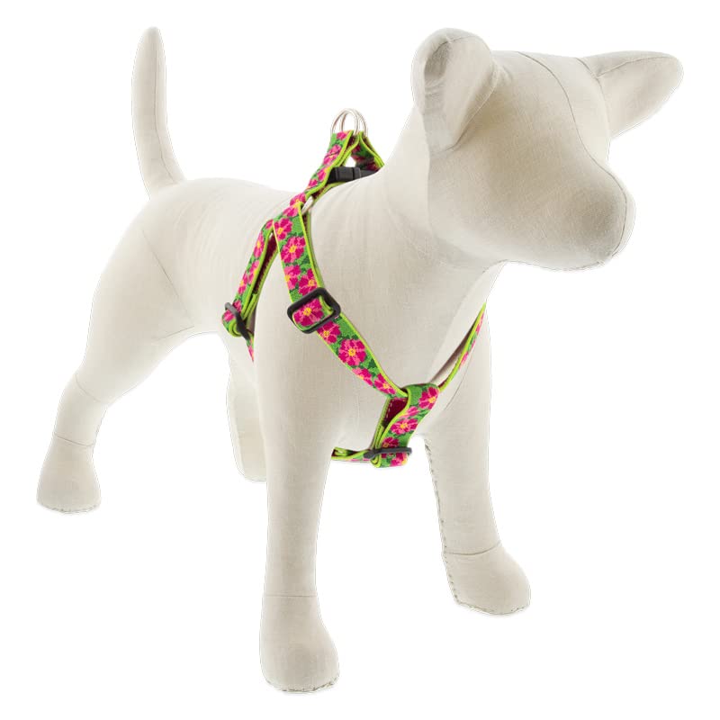 Lupine Step in Dog Harness 1" Wide Petunias with 19-28" Girth 1" wide; girth adjusts 19-28" - PawsPlanet Australia