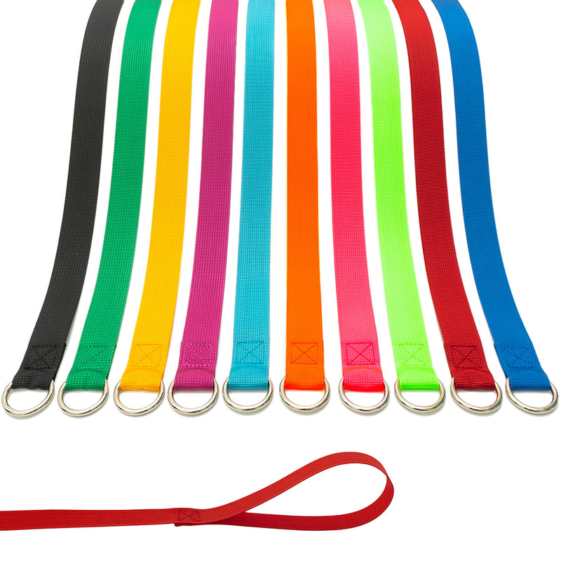 Slip Lead Dog Leash - 10 pcs Colorful 6 FT Short Dog Leashes with O-Ring for Small Large Dogs Puppy Cats Walking Training Running Rescues Grooming Shelter,etc. - PawsPlanet Australia
