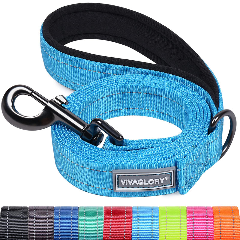 VIVAGLORY Dog Leash Dailyx Pet Leash with Soft Padded Handle for Training & Walking, Heavy Duty & Double Layer Nylon for Pet Puppy, 4ft x 1in, Lake Blue Leash (4 ft. x 1 in.) - PawsPlanet Australia