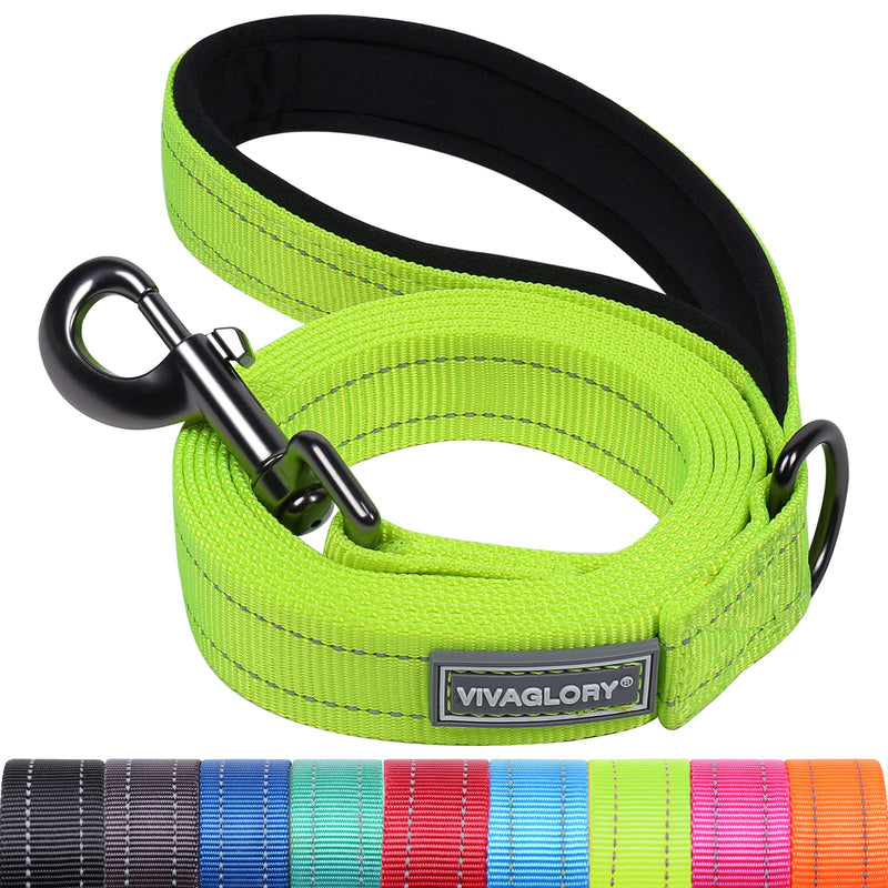 VIVAGLORY Dog Leash Dailyx Pet Leash with Soft Padded Handle for Training & Walking, Heavy Duty & Double Layer Nylon for Pet Puppy, 3ft x 1in, Bright Yellow Leash (3 ft. x 1 in.) - PawsPlanet Australia