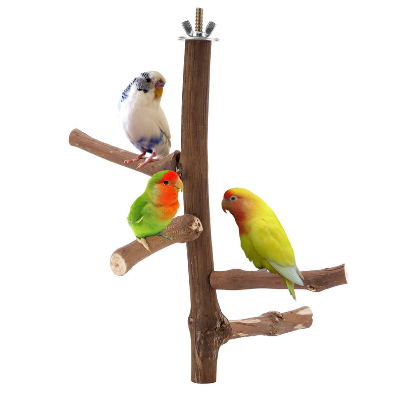Bird Perch Stand Toy, Natural Grapevine Wood Parrot Perch Bird Cage Branch Accessories for Parakeets Cockatiels Conures Macaws Finches Love Birds(9.8" Length) 9.8"Length - PawsPlanet Australia