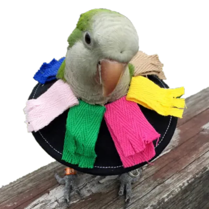 Adjustable Bird Collar Anti Bite Elizabethan Recovery Cone, Bird Neck Protector for Feather Plucking, Skin-Friendly Bird Neckwear Full Body Shield for Parakeet Conure Cockatiel (L), Black L - PawsPlanet Australia