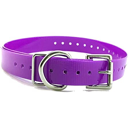 Replacement Strap for Dogtra Collars - 3/4" Wide Ultra-Durable Dog E-Collar Replacement for Training, Bark, Shock, Electric, and GPS Collars - 28" Adjustable Length Solid Purple - PawsPlanet Australia