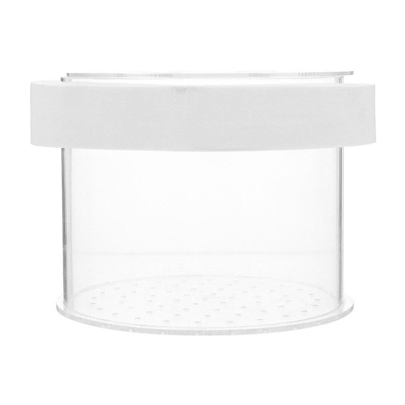Fish Breeding Box - Acrylic Aquarium Box Fish Tank Separate Box Fish Box Aquarium Hatchery Incubator Aquarium Breeding Box for Shrimp Small Fish 10X10X8CM Transparent - PawsPlanet Australia