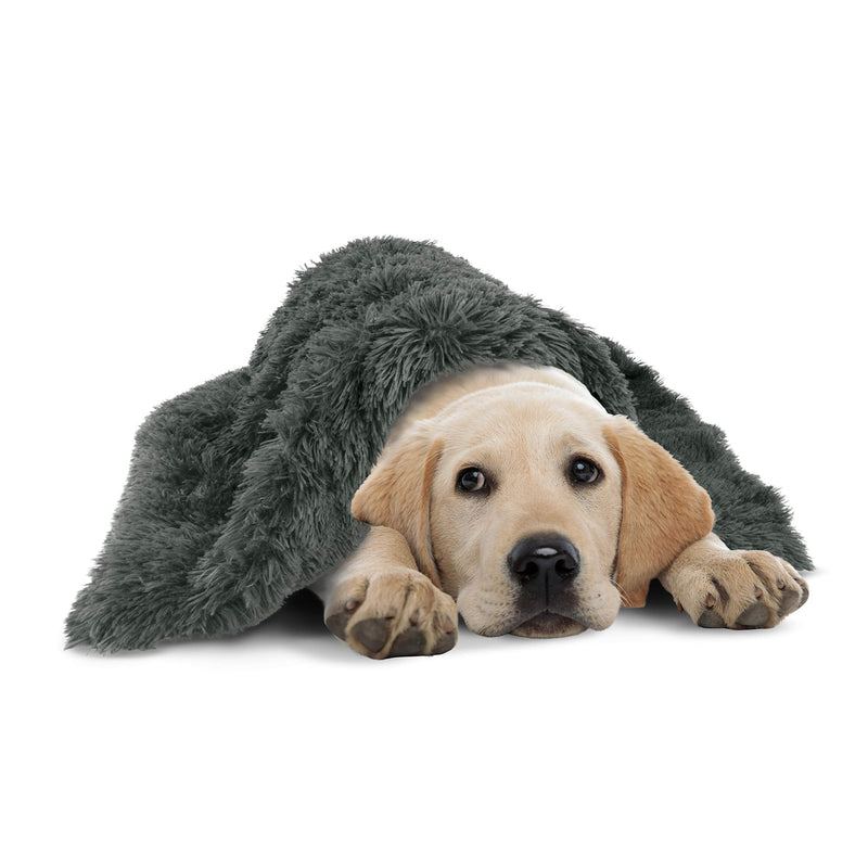 The Dog’s Blanket – Faux Fur Dog Blanket, Grey, Large, 28x42 Steel Grey Fur Large Blanket (28x42") - PawsPlanet Australia