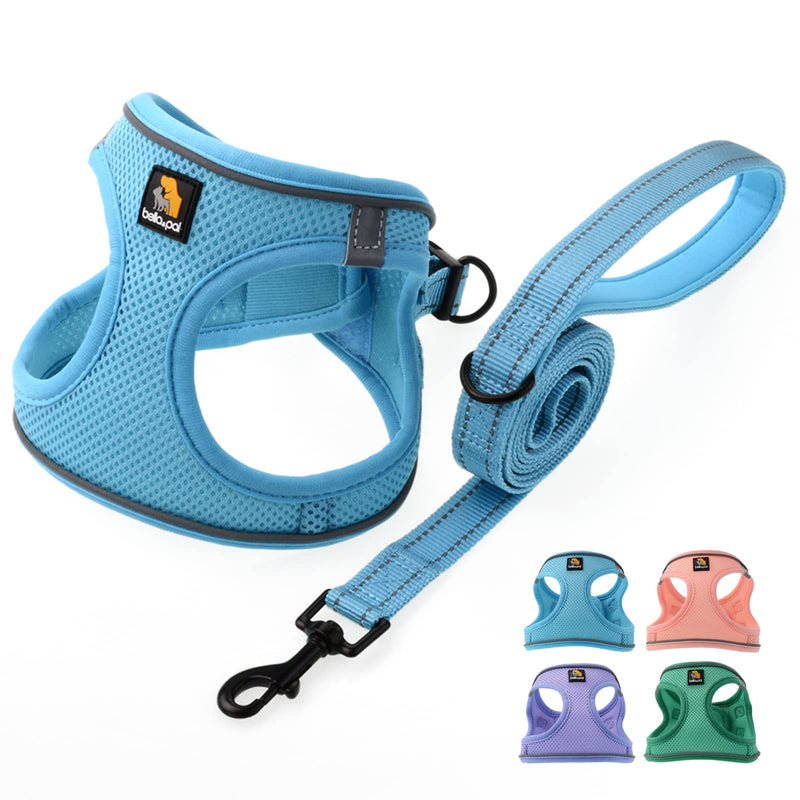 BELLA & PAL Step in Vest Harness for Small and Medium Dogs, No Pull Small Dog Harness with Leash Set, Comfortable Air Mesh Dog Vest Harness with Reflective Strip (Sky Blue, XS) Sky Blue - PawsPlanet Australia