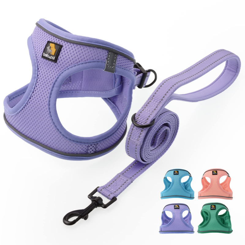 BELLA & PAL Puppy Harness with Leash Set, Dog Harness for Small Dogs No Pull, Dog Leash for Small Dogs, Step in Harness for Extra Small Dogs, Purple Lavender Harness, S - PawsPlanet Australia