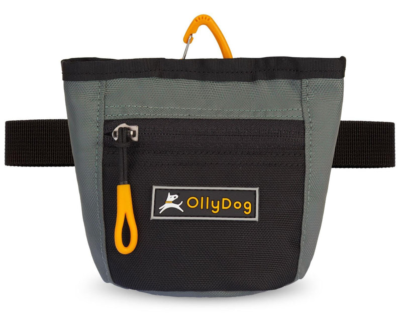 OllyDog Goodie Treat Bag, Dog Treat Pouch, Waist Belt Clip for Hands-Free Training, Magnetic Closure, Dog Training and Behavior Aids, Three Ways to Wear (Juniper) Juniper - PawsPlanet Australia