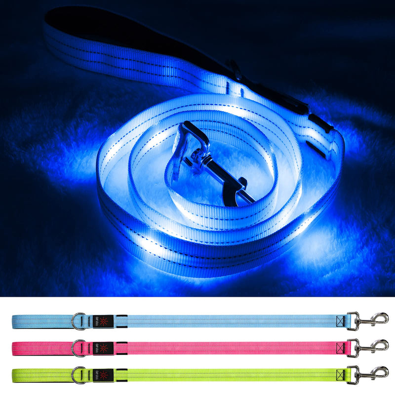 Led Light Up Dog Leash - 4 Ft Rechargeable Waterproof Nylon Reflective With Padded Handle for Night Walking, Safety Glow in The Dark for Large Medium Small Pets Blue - PawsPlanet Australia