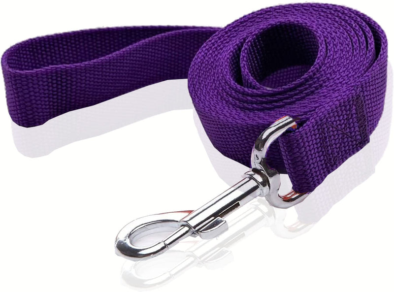 Nylon Dog Leash 4 Ft 5 Feet 6 Foot Long, Walking Training Dog Leashes for Medium Large Dogs, 1 Inch Wide (3/4" X 6 ft, Purple) 3/4" X 6 ft - PawsPlanet Australia