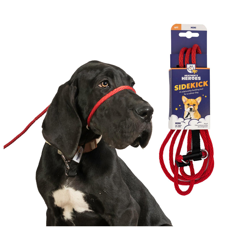 Heather's Heroes The Sidekick No-Pull Leash, Red, Mini Mini (1/4") - PawsPlanet Australia