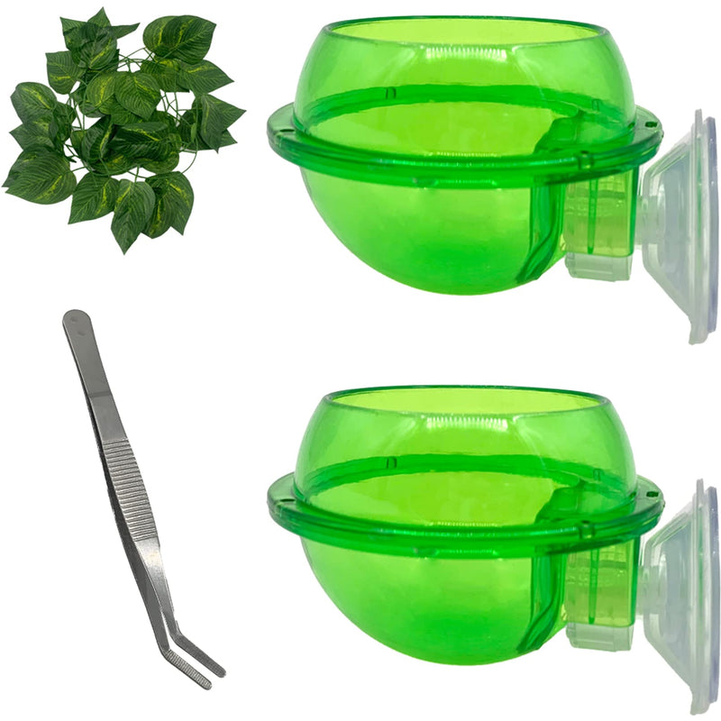 MUYG Reptiles Feeder with Suction Cup,Lizard Anti-Escape Worm Live Fodder Chameleon Feeding Water Bowl Translucent Container Ledge Supplies Accessories for Bearded Dragon（4Pcs） - PawsPlanet Australia