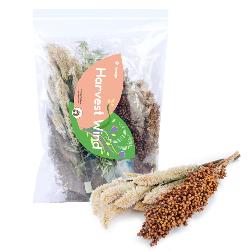 Niteangel Natural Flower & Herb Hamster Bedding Mate - Habitat Decor for Hamsters Gerbils Mice Lemming Degus or other Small Pets (Harvest Wind - Natural Poem Version) Harvest Wind - Natural Poem Version - PawsPlanet Australia