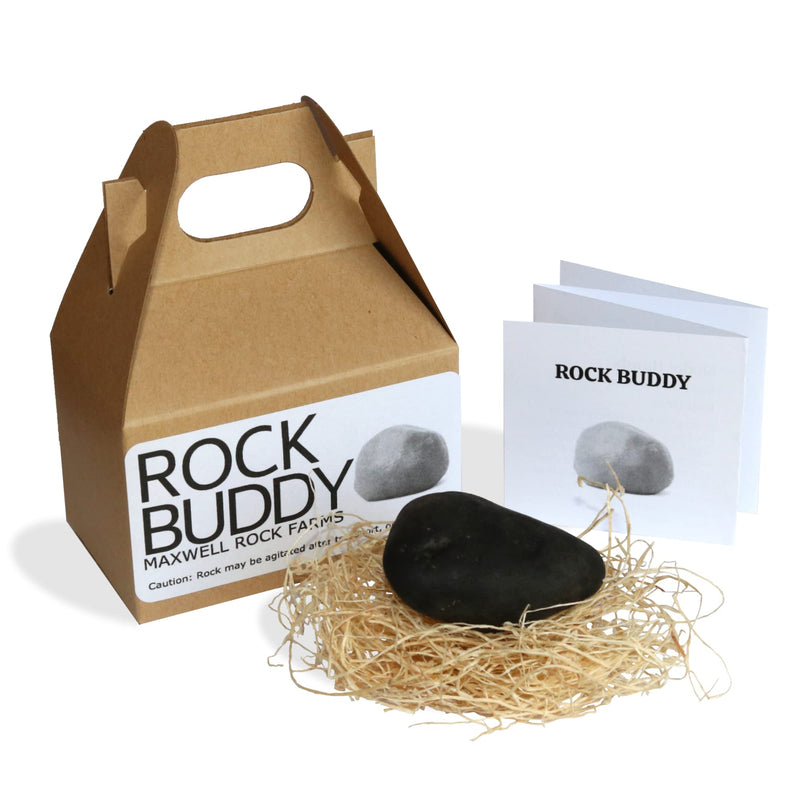 Rock Buddy with Full Training Manual and Bedding - PawsPlanet Australia